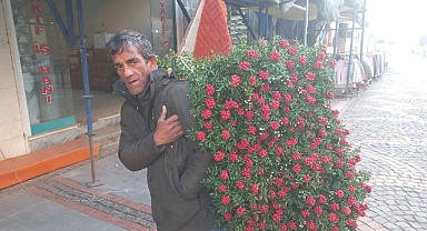 Yılbaşı öncesi kokina satışları başladı