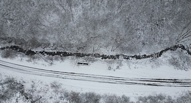 Beyaza bürünen ormanlar havadan görüntülendi
