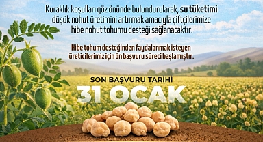 Çiftçilere Hibe Nohut Tohumu Desteği