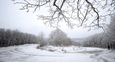 Istranca Ormanları Havadan Görüntülendi
