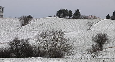 Kar Yağışı Tarıma Umut Oldu