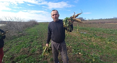 Toprağa emek, çocuklara gelecek