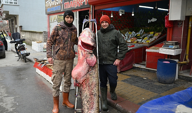 102 kilogramlık yayın balığı yakalandı