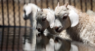 3 Yılda 1.500 Üretici Yararlanacak