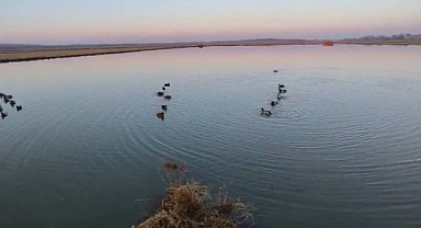 762 bin 412 lira ceza kesildi