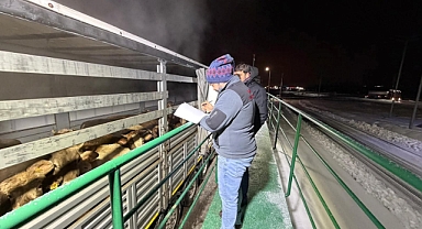 Edirne’den Erzurum’a Uzanan Sorumluluk