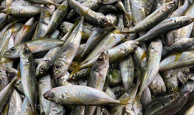 Fiyatlar Düştü, Gözler İstavritte