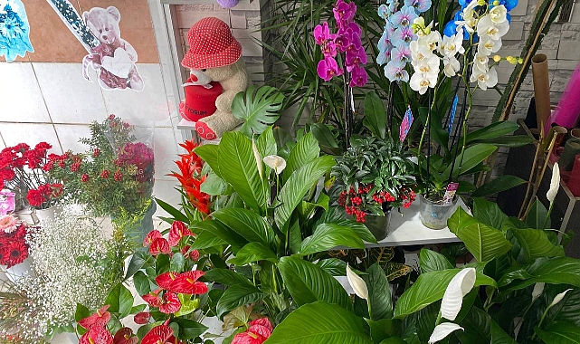 Gülü Seven Dikenine Katlanacak