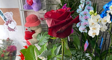 Gülü Seven Dikenine Katlanacak