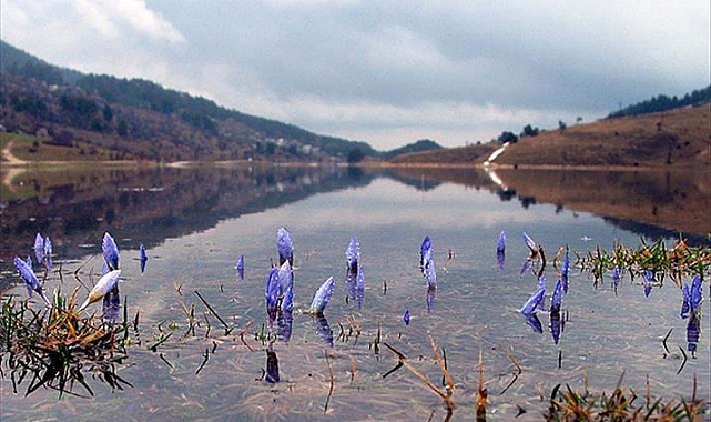 İkinci Cemre Suya Düştü