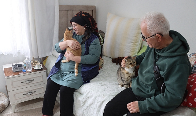Kedi sevgisi 40 kedilik yuvaya dönüştü