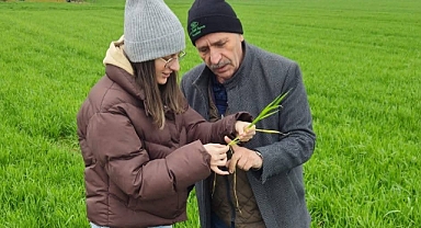 Üreticilere Gübreleme ve Hastalık Uyarısı