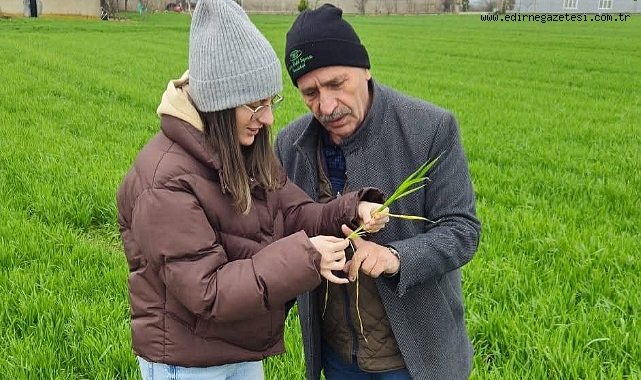 Üreticilere Gübreleme ve Hastalık Uyarısı