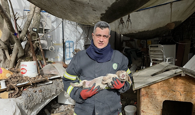 Yavru Köpek 6 Saat Sonra Kurtarıldı