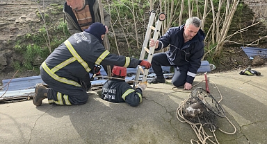 Yavru Köpek 6 Saat Sonra Kurtarıldı