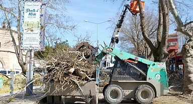 Yedi Yol Ağzı Sokak’ta Ağaç Budama Çalışması