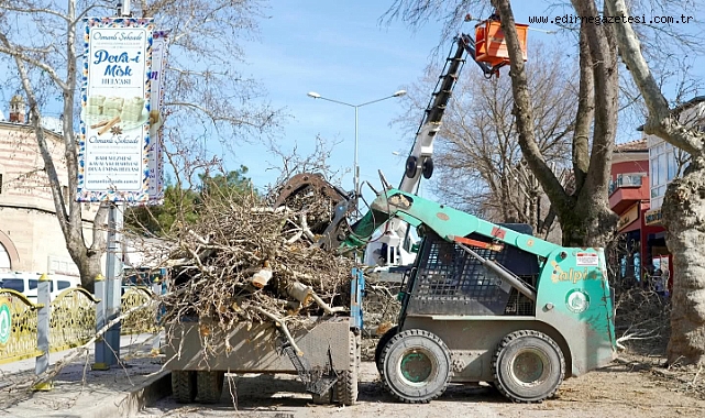 Yedi Yol Ağzı Sokak’ta Ağaç Budama Çalışması