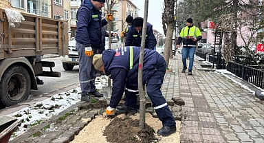Yeşil Edirne İçin Park ve Bahçeler Ekipleri Sahada