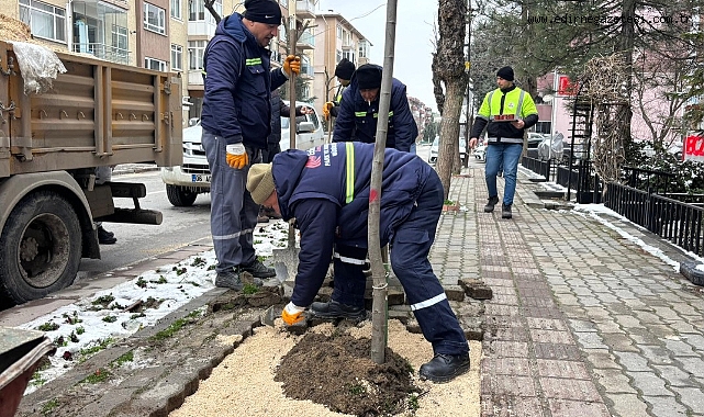 Yeşil Edirne İçin Park ve Bahçeler Ekipleri Sahada