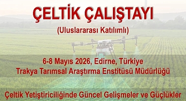 Çeltik Çalıştayı Düzenleniyor