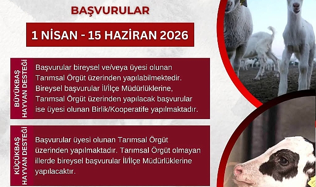 Edirne’de Hayvancılık Destek Başvuruları Başladı