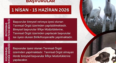 Edirne’de Hayvancılık Destek Başvuruları Başladı