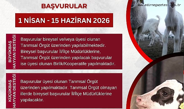 Edirne’de Hayvancılık Destek Başvuruları Başladı