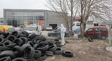 Haşereye Karşı Kış Mesaisi