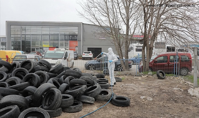 Haşereye Karşı Kış Mesaisi