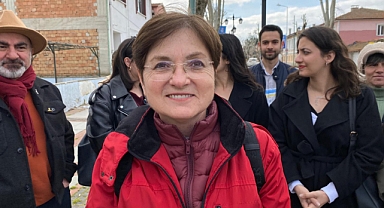 Karaağaç Yolunda Sert Budama Tepkisi