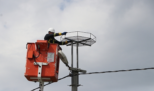 Leylekler için elektrik direklerine 1000 platform kuruldu