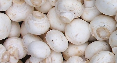 Mantarın Karı 20 TL: Esnaf Satışlardan Şikayetçi