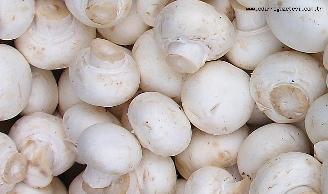 Mantarın Karı 20 TL: Esnaf Satışlardan Şikayetçi