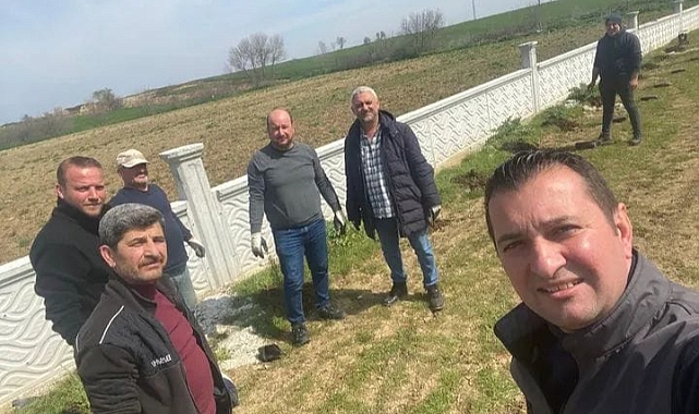 Mezarlık Alanına Selvi Dikimi