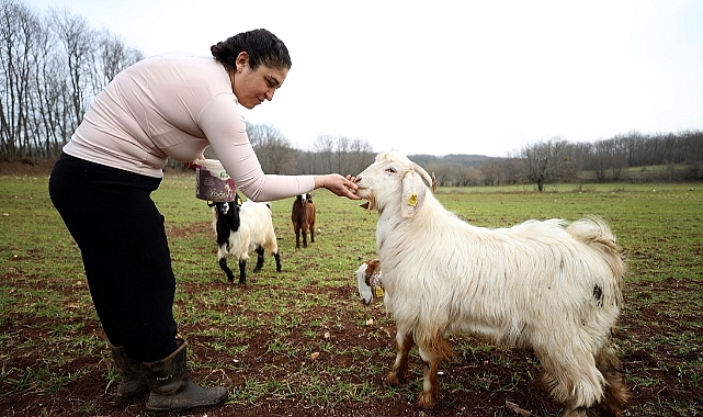 Moda tasarımcısı kamp yaptığı köye göç etti
