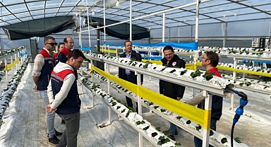 Modern Tarım Modeli Beğendik’te Yaygınlaşıyor