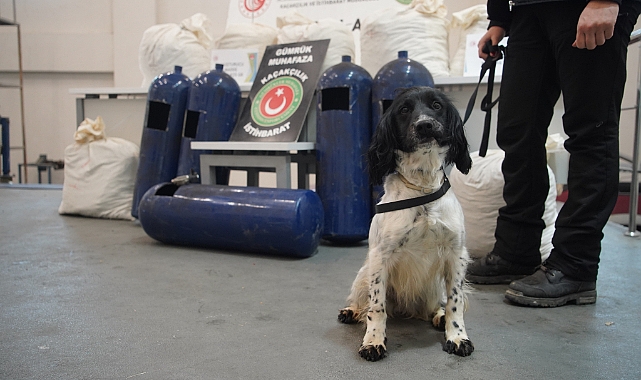 Narkotik köpekleri gizlenen uyuşturucuları buldu