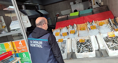 Su ürünleri denetimleri sürüyor