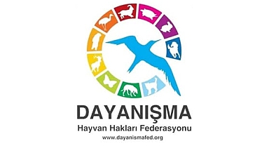 Süreklilik ve Sorumlulukla Hayvanlar İçin Yeni Başlangıç