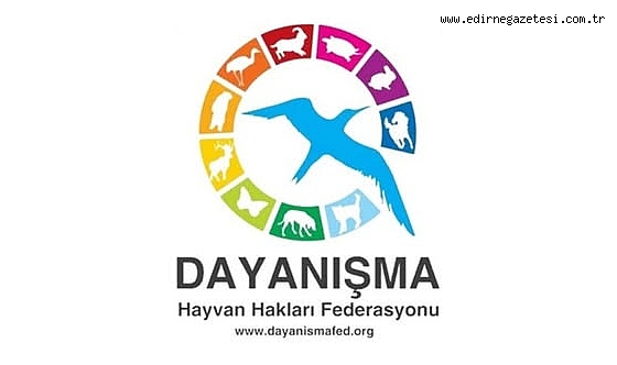 Süreklilik ve Sorumlulukla Hayvanlar İçin Yeni Başlangıç