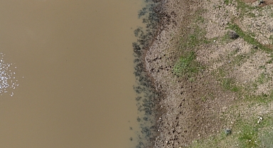  Taşlık Göleti'nin doluluk oranı yağışlarla arttı