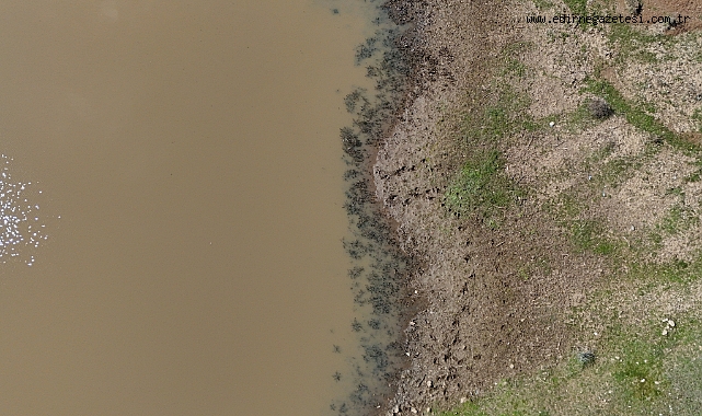 Taşlık Göleti'nin doluluk oranı yağışlarla arttı