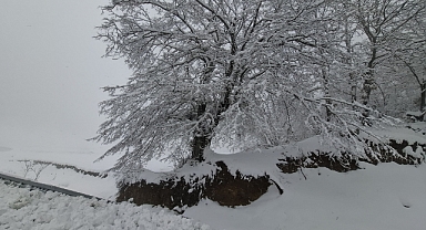 Yüksek kesimlerde kar etkili oluyor