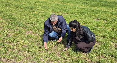 Ziraat Odası’ndan Üreticilere Hastalık Uyarısı