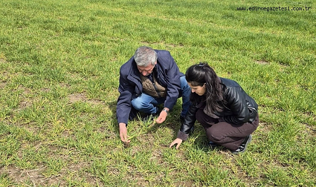 Ziraat Odası’ndan Üreticilere Hastalık Uyarısı