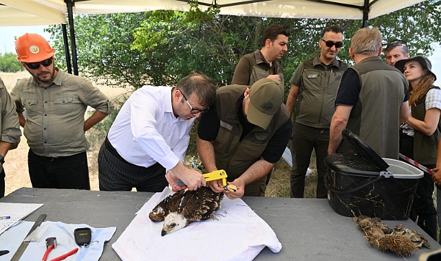 500 leylek ve 100 şah kartalı halkalanacak