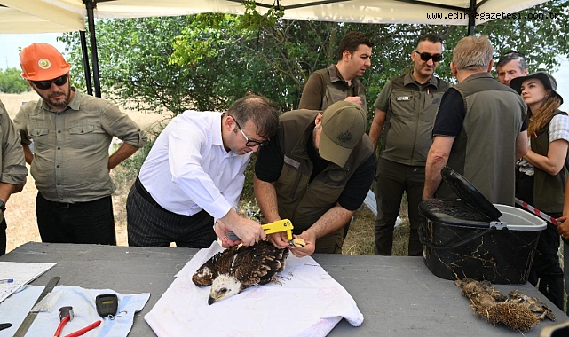 500 leylek ve 100 şah kartalı halkalanacak