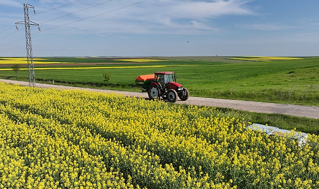 Çiftçinin Yeni Gözdesi Kanola Oldu