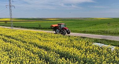 Çiftçinin Yeni Gözdesi Kanola Oldu