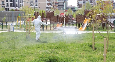 Edirne’de Parklar Yaz Öncesi İlaçlanıyor